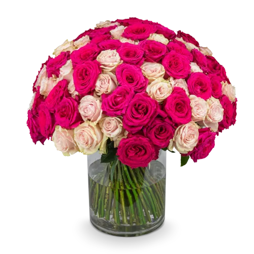 Bouquet od pink roses